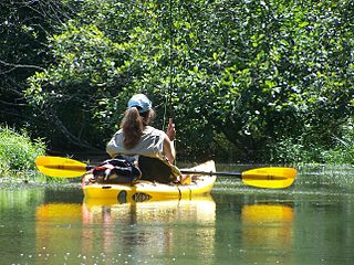 kayak-fishing-at-lake.jpg