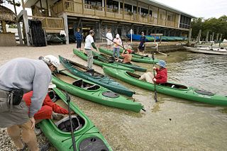 kayakers-preparing-for-kayaking.jpg